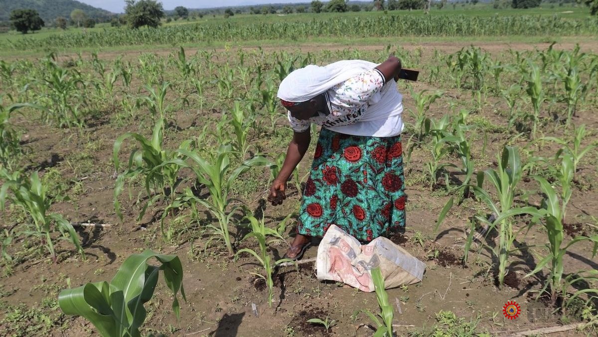 Fertilizer Black Markets